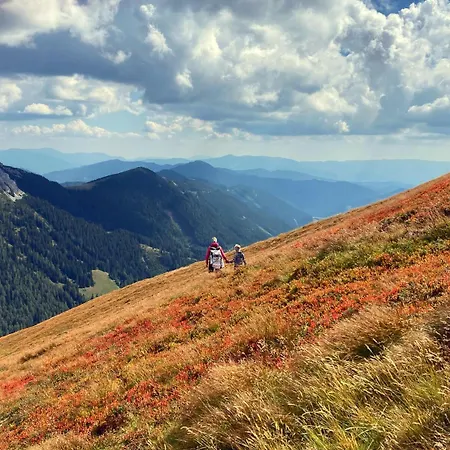 Aussicht Ins Bergparadies Appartement